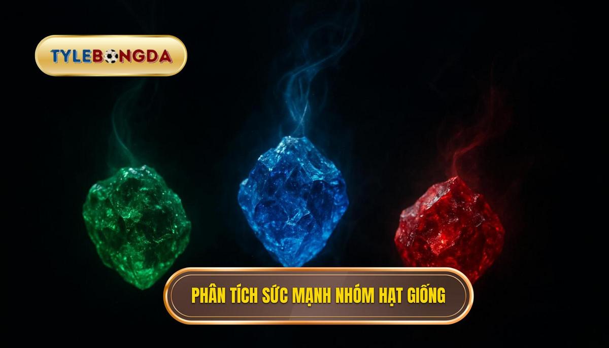Phân tích sức mạnh các nhóm hạt giống và biến động tỷ lệ kèo
