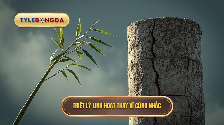 Triết lý cốt lõi: Sự linh hoạt thay vì sự cứng nhắc